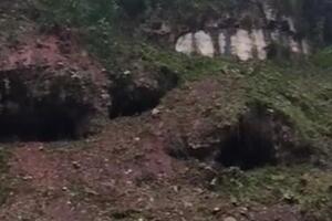 Tagliati, a Miseglia, alberi anche  in terreni privati per un costo di 46 mila euro:  la critica del consigliere Bernardi