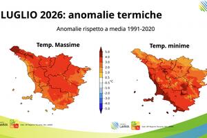 Diritto all’ombra: il Comitato Ugo Pisa mappa i rifugi climatici di Massa e accusa Comune e Regione: “Servono scelte, non parole”