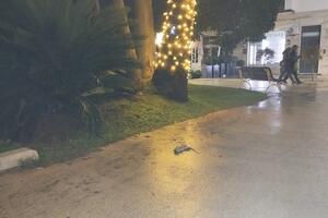 Patto per il Nord: "Ratto in pieno centro a Marina di Massa. Immagini che parlano da sole"