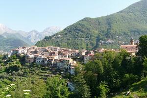 Partiti i lavori di sistemazione del verde alle case popolari di Altagnana: Erp replica alla richiesta del consigliere comunale Simone Ortori