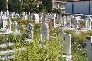 Cimiteri di Massa nel degrado: la denuncia dei consiglieri Pd Santi e Tarantino