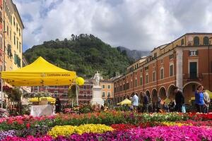 Sabato 10 maggio torna la Festa dei Fiori a Carrara