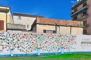 "Il Muro delle rose": presentazione del nuovo progetto artistico a Palazzo Cucchiari venerdì 8 maggio