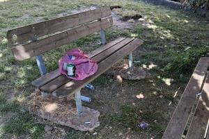 Richiesta di intervento urgente per manutenzione e decoro del Parco "Camilla" Aulla Centro