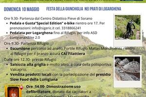 Festa della Giunchiglia ai prati di Logarghena: due giorni di festa con il vescovo Vaccari e il presidente della Regione Giani come ospiti