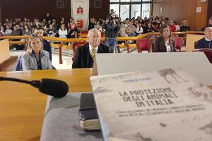 La Rivincita – Là dove una piuma e un sasso diventano voce: il racconto di un evento che ha messo al centro il LINK e la forza dei giovani