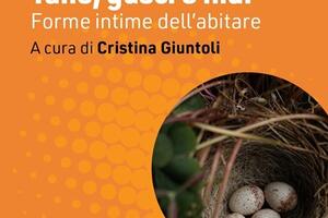Tane, gusci e nidi: forme intime dell’abitare al Con-Vivere Carrara Festival