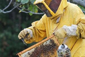 Coldiretti: ad aprile nuovo corso a Massa  per diventare apicoltore rivolto ad hobbisti ed imprenditori agricoli
