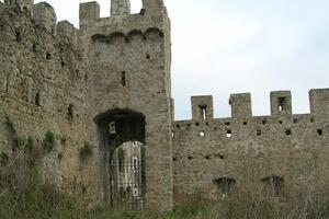 Cinquecentomila euro per il castello di Moneta in arrivo dal ministero della Cultura: lo afferma l'onorevole Barabotti della Lega
