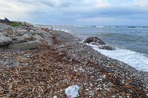 Il Polo P&amp;S: la spiaggia libera alla foce del Ricortola non è degna di una città turistica