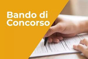 La Provincia di Massa Carrara  ricerca un ingegnere: aperto il bando con scadenza al 17 novembre