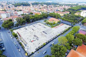 Regolamento del Verde: la cura affidata alle parole, le scelte rimandate al futuro. L'analisi di Florida Nicolai membro di associaizone ARCA