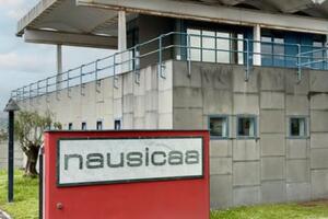 Nausicaa: ufficializzate le nomine del nuovo consiglio d’amministrazione.   Antonio Valenti confermato presidente