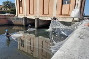 Massa- Il Brugiano guarda al futuro: tecnologia e automazione. Investimento strategico per la costa apuana