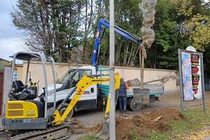Oltre 120 nuovi alberi piantumati lungo il viale XX Settembre da Nausicaa s.p.a.