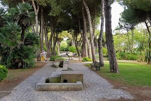 Chiuso il parco Puccinelli per lavori di manutenzione del verde nella mattinata di giovedì 28 maggio