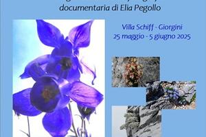 Le Apuane: marmo e biodiversità - mostra fotografica di Andrea Pegollo a Villa Schiff