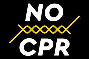 Il gruppo "Insieme in comune" di Pallerone critica le poszioni, a loro dire morbide del presidente della Provincia Valettini sull'ipotetico Cpr da realizzare ad Aulla