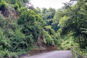 Reti paramassi in via dei Colli a Massa: la soddisfazione del consigliere Ortori autore della richiesta