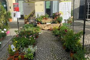Istituto Tecnico Agrario Pacinotti-Belemesseri: studenti presenti al BancarelFiore di Pontremoli e alla Fiera di Soliera