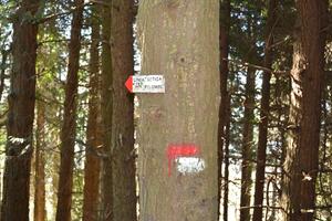 Parco e CAI rinnovano l’impegno per la sicurezza dei sentieri e il recupero della Linea Gotica