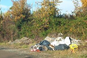 Colline del Candia nel degrado: Italia Nostra Massa Montignoso chiede intervento dei vigili