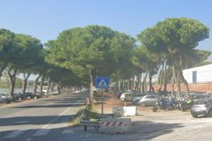 Viale Zaccagna, il degrado di una zona industriale “di eccellenza”: la critica di Patrizia Arrighi di Avenza Si R-Esiste