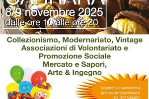 Modifiche alla viabilità a Carrara per lo svolgimento della Festa della Castagna nel fine settimana