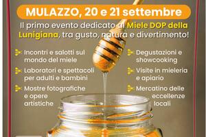 Nasce Bancarel’Miele: a Mulazzo la prima edizione della festa dedicata al miele DOP della Lunigiana e alla cultura della sostenibilità