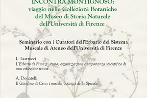 A Villa Schiff un viaggio nelle collezioni botaniche dell'Università di Firenze