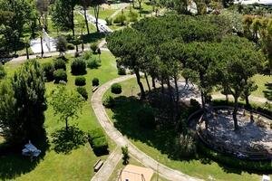 I diversi colori del Verde :oltre 300 mila euro spesi per un verde urbano inefficace secondo Associazione ARCA