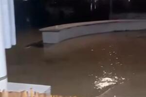 &quot;Carrara nel baratro a causa dell&#039;immobilismo della giunta Arrighi&quot;: la critica di Montesarchio ex presidente commissione ambiente 5 Stelle