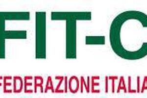 FIT-CISL presidio territoriale di Massa-Carrara: “Mancata fornitura documentazione richiesta con Accesso Civico Generalizzato e richiesta intervento ITL”