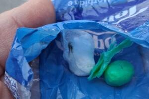 Portano la figlia al parco e trovano due involucri di cocaina nascosti vicino all'altalena: la rabbia dei cittadini a Monti di Licciana