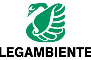 Femminismi ecologici. Transfemminismo e processi decoloniali in un mondo in rovina