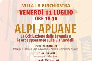 &quot;Alpi Apuane, la coltivazione della lavanda e le erbe spontsnee sulla via Vandelli&quot;: prossimo appuntamento con Massa Picta a villa La Richiostra di Massa l&#039;11 luglio