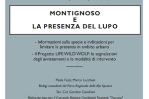 Convivenza con il lupo: incontro informativo a Montignoso con esperti del Parco delle Apuane e Carabinieri Forestali