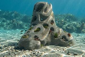 Costa apuana: un sistema per proteggerla in mostra a Eindhoven, per la Dutch Design Week