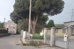 Il consigliere Pd di Massa Alberti presenta un’interpellanza sulla manutenzione del verde, sulle verifiche fitostatiche (VTA) e sulla sicurezza della viabilità presso la Scuola dell'Infanzia "Candia"