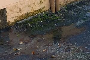 Perdita d&#039;acqua in corso da settimane alla Frangola di Massa: l&#039;appello di Italia Nostra Massa Montignoso