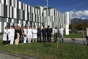 All’ospedale Apuane “Un albero per la salute” grazie ai Carabinieri del Raggruppamento Biodiversità e a FADOI