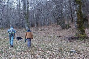 Peste Suina Africana: i Guardiaparco impegnati nelle ricerche attive di carcasse di cinghiale nel Parco delle Alpi Apuane