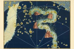 Venerdì al Planetario di Marina di Carrara: gli animali nei cieli