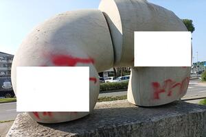 Presentata la mozione &quot;Carrara Sicura&quot;: task force, controlli e zone a tolleranza zero in tutta la città