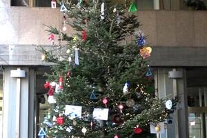 A Massa il 9 dicembre si inaugura l'albero di Natale dei bambini nell'atrio del comune