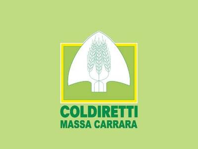 San Francesco: Coldiretti Massa Carrara, agrigelato, laboratori e mercato contadino, quante novità in Largo Matteotti per il Santo Patrono