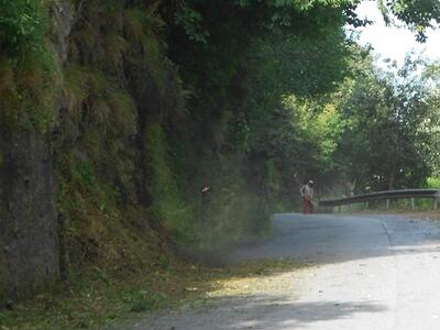 Strade invase da erbacce e rami di alberi: FdI Fivizzano chiede un intervento urgente di manutenzione del verde