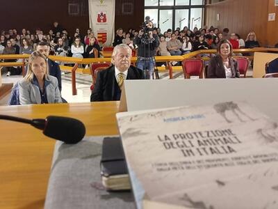 La Rivincita – Là dove una piuma e un sasso diventano voce: il racconto di un evento che ha messo al centro il LINK e la forza dei giovani