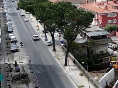 Decisione non condivisa con le associazioni di riferimento per il verde urbano sulla salita di San Ceccardo: Italia Nostra Apuolunense critica il sindaco di Carrara Arrighi