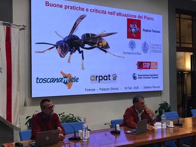 Anche il Consorzio del Miele della Lunigiana DOP al convegno sulla vespa velutina